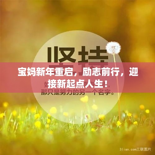 宝妈新年重启，励志前行，迎接新起点人生！