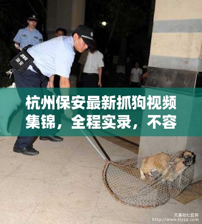 杭州保安最新抓狗视频集锦，全程实录，不容错过！