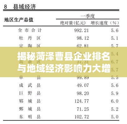 揭秘菏泽曹县企业排名与地域经济影响力大增的背后原因