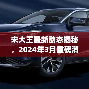 宋大王最新动态揭秘，2024年3月重磅消息来袭！
