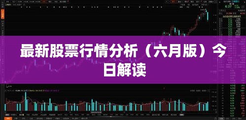 最新股票行情分析（六月版）今日解读