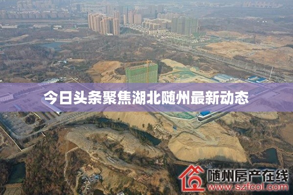 今日头条聚焦湖北随州最新动态