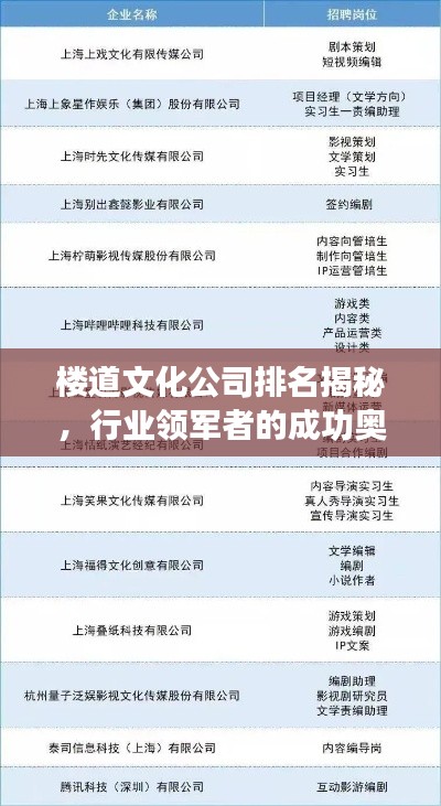 楼道文化公司排名揭秘，行业领军者的成功奥秘探索