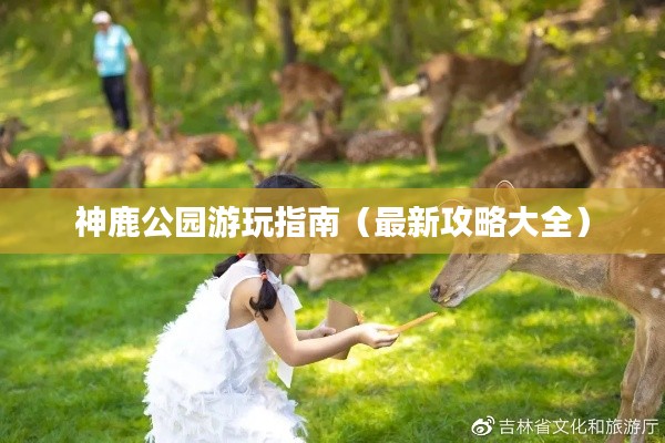 神鹿公园游玩指南（最新攻略大全）