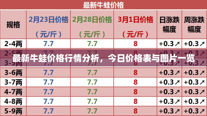 最新牛蛙价格行情分析，今日价格表与图片一览