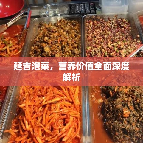延吉泡菜，营养价值全面深度解析
