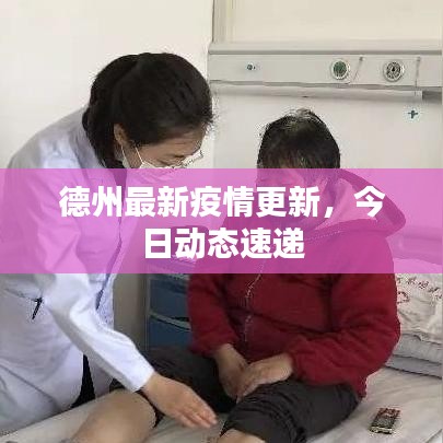 德州最新疫情更新，今日动态速递
