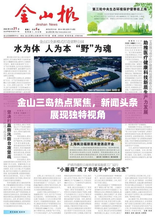 金山三岛热点聚焦，新闻头条展现独特视角
