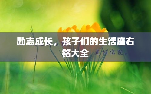 励志成长，孩子们的生活座右铭大全