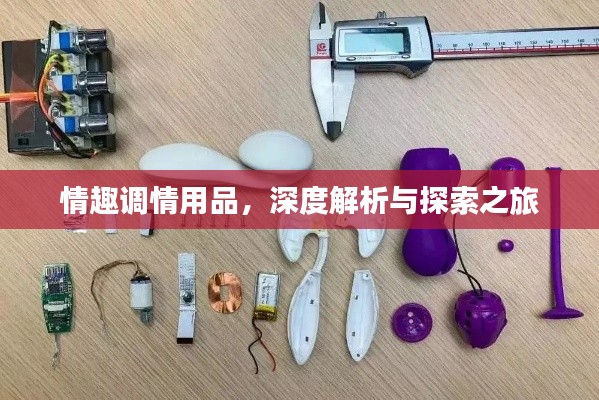 情趣调情用品，深度解析与探索之旅