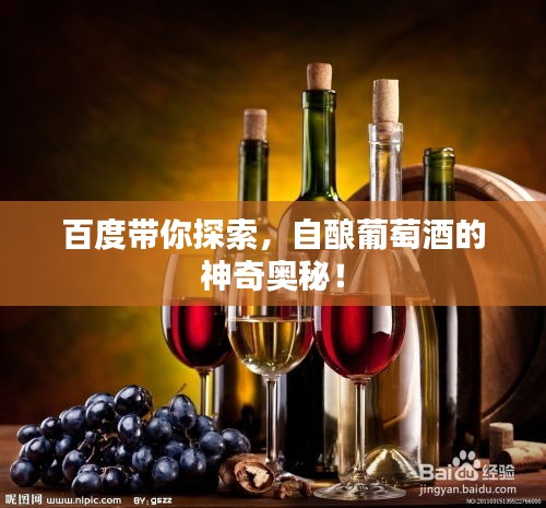百度带你探索，自酿葡萄酒的神奇奥秘！