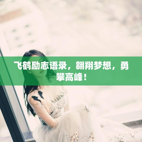 飞鹤励志语录，翱翔梦想，勇攀高峰！