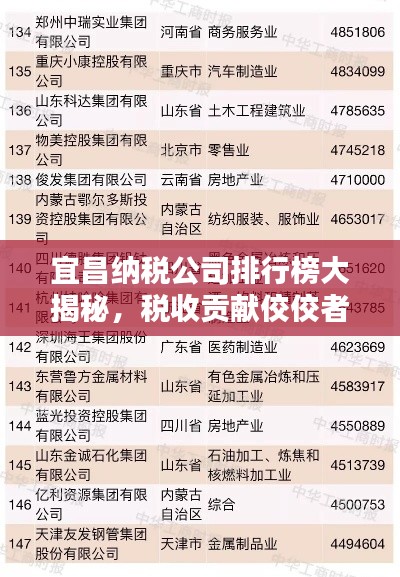 宜昌纳税公司排行榜大揭秘，税收贡献佼佼者一览