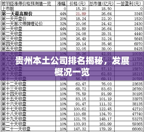 贵州本土公司排名揭秘，发展概况一览
