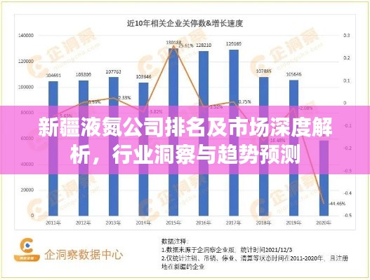 新疆液氮公司排名及市场深度解析，行业洞察与趋势预测