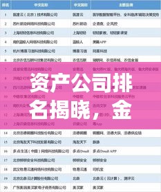 资产公司排名揭晓，金融巨头前十榜单，揭示强大力量！