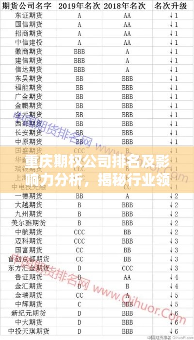 重庆期权公司排名及影响力分析，揭秘行业领导者榜单！