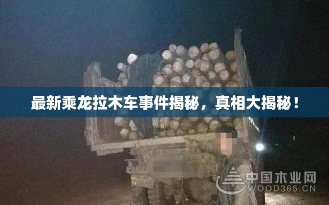 最新乘龙拉木车事件揭秘，真相大揭秘！