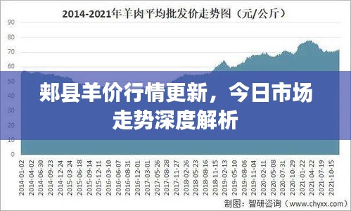 郏县羊价行情更新，今日市场走势深度解析