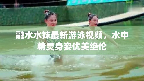 半截鸟木