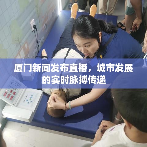 厦门新闻发布直播，城市发展的实时脉搏传递