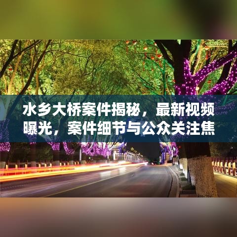 水乡大桥案件揭秘，最新视频曝光，案件细节与公众关注焦点深度解析