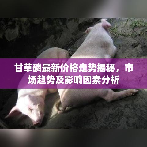 甘草磷最新价格走势揭秘，市场趋势及影响因素分析