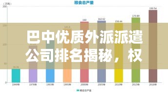 巴中优质外派派遣公司排名揭秘，权威解析，为你揭示行业地位