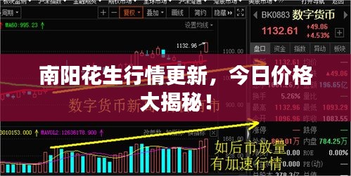南阳花生行情更新，今日价格大揭秘！