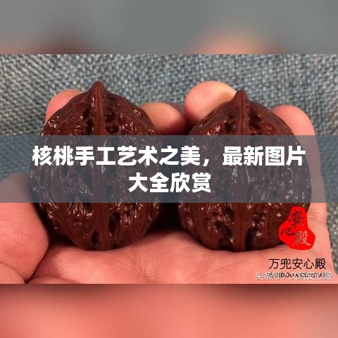 核桃手工艺术之美，最新图片大全欣赏