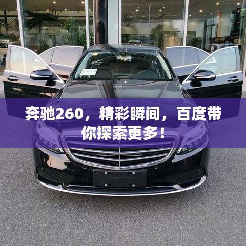 劳燕分飞