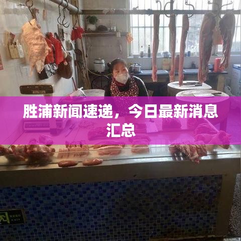 胜浦新闻速递，今日最新消息汇总