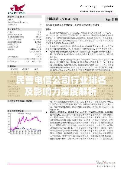 民营电信公司行业排名及影响力深度解析