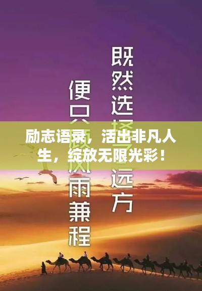 励志语录，活出非凡人生，绽放无限光彩！