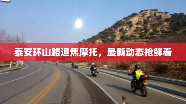 泰安环山路追焦摩托，最新动态抢鲜看