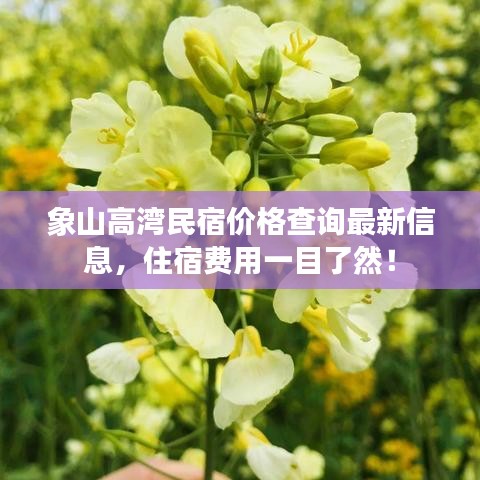象山高湾民宿价格查询最新信息，住宿费用一目了然！