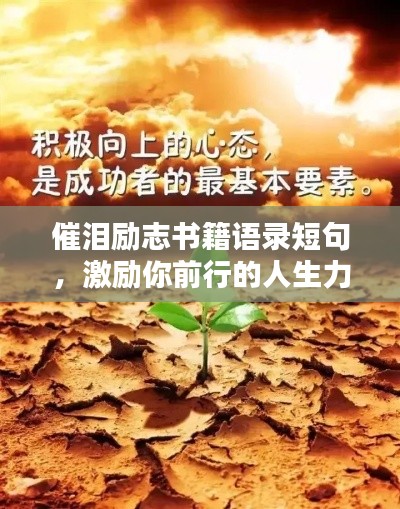 催泪励志书籍语录短句，激励你前行的人生力量