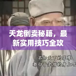 天龙倒卖秘籍，最新实用技巧全攻略