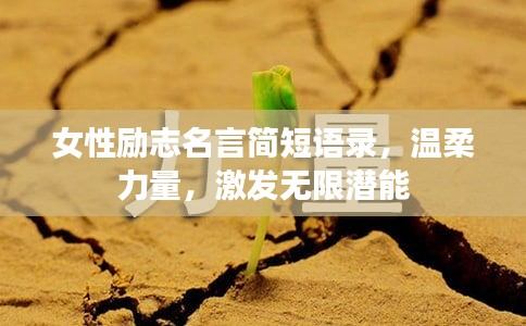 女性励志名言简短语录，温柔力量，激发无限潜能