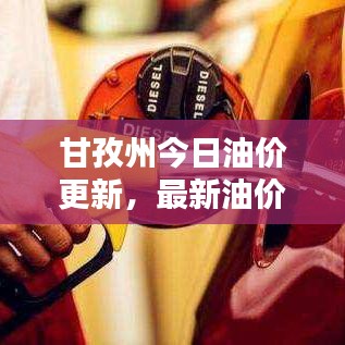 甘孜州今日油价更新，最新油价信息一览