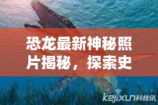 恐龙最新神秘照片揭秘，探索史前巨兽的未知世界