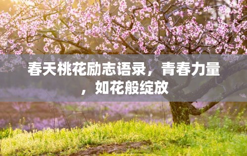 春天桃花励志语录，青春力量，如花般绽放