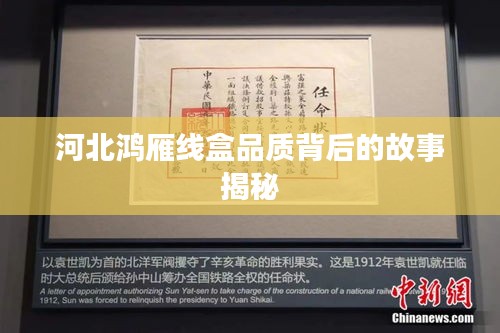 河北鸿雁线盒品质背后的故事揭秘