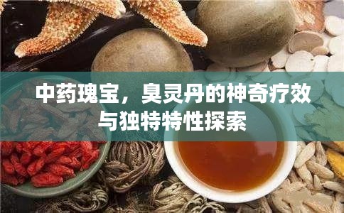 中药瑰宝，臭灵丹的神奇疗效与独特特性探索