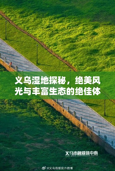 义乌湿地探秘，绝美风光与丰富生态的绝佳体验