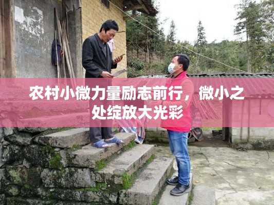 农村小微力量励志前行，微小之处绽放大光彩