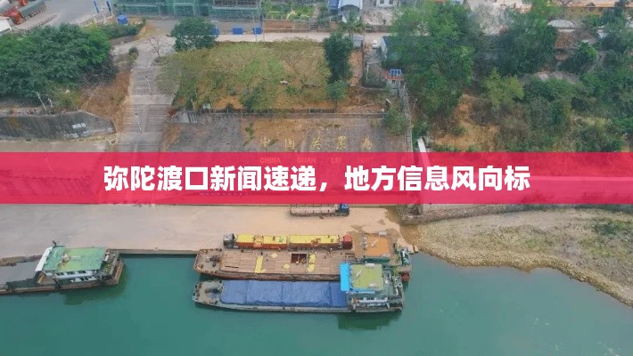 弥陀渡口新闻速递，地方信息风向标