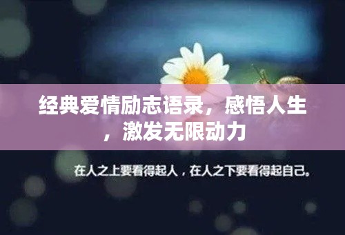 经典爱情励志语录，感悟人生，激发无限动力