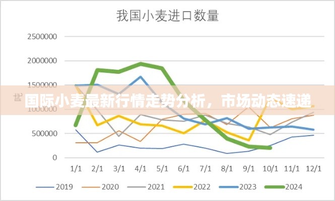 国际小麦最新行情走势分析，市场动态速递