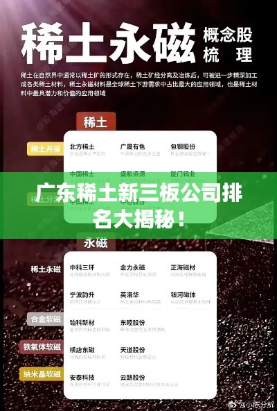 广东稀土新三板公司排名大揭秘！